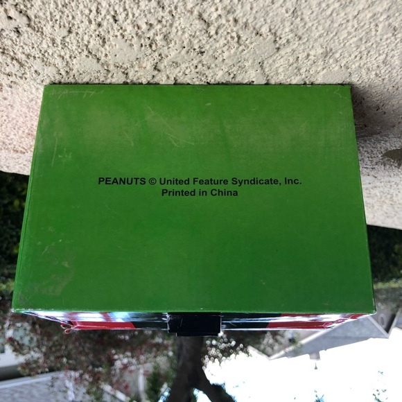 Peanuts Doghouse Art Set! - Picture 13 of 14